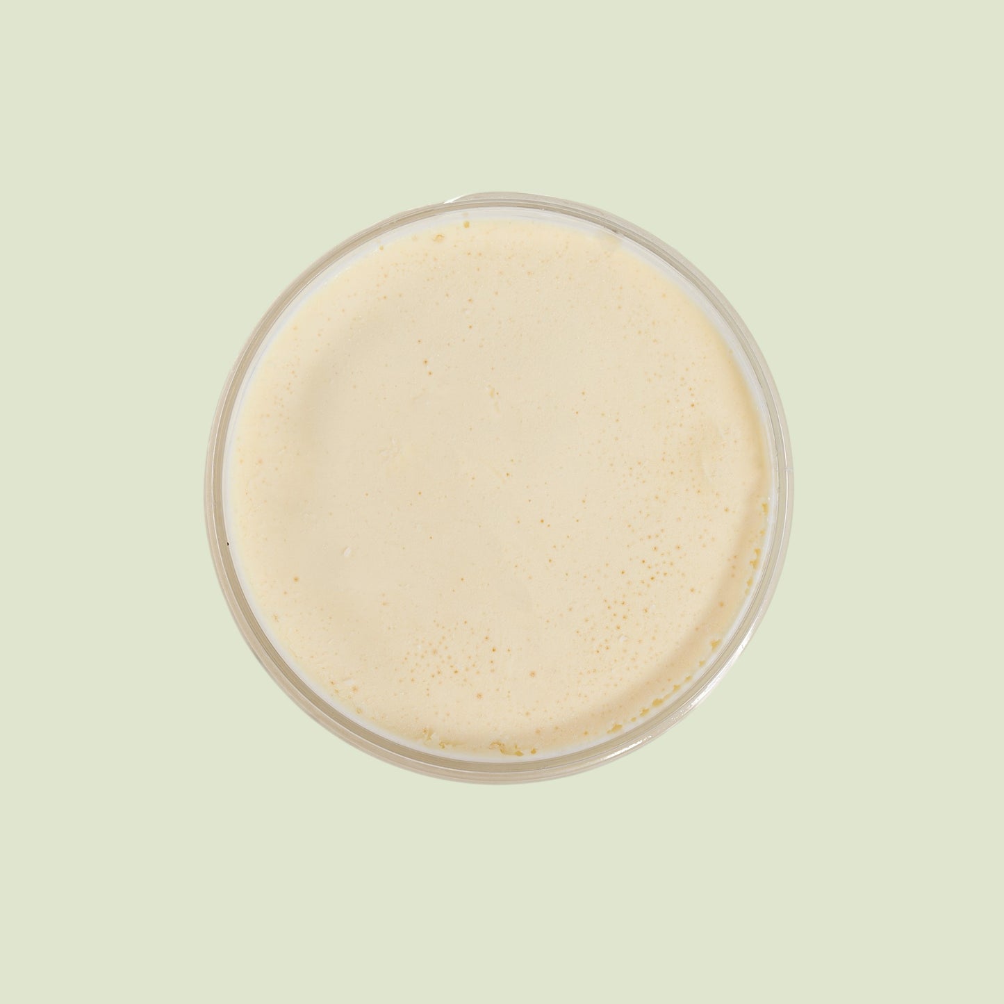 Vanilla Ice Cream Jar | Artisan Ice Cream by Panache